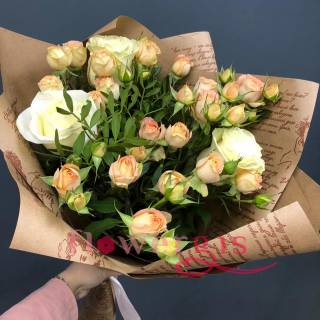 Свежий взгляд